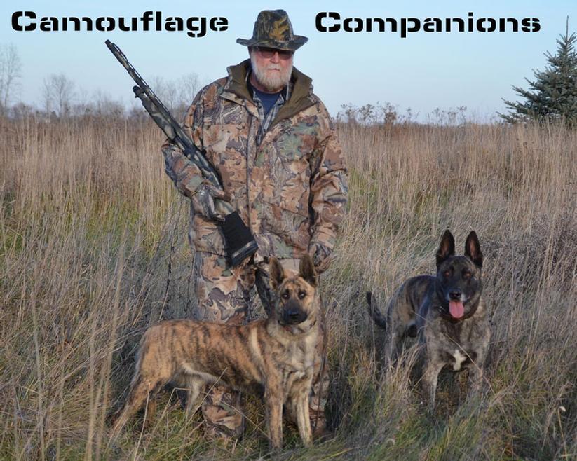 Camouflage Companion