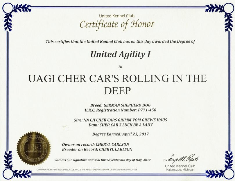 Raleigh Agility title certificate