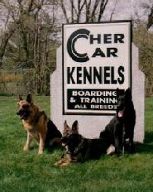 Chercar kennel best sale