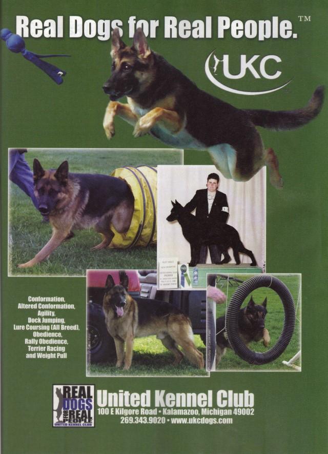 The August 2011 issue of Dog World Magazine is dedicated to German Shepherds, and contains a United Kennel Club ad that pictures 4 of our dogs!