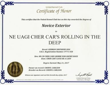 Raleigh novice interior nosework title certificate