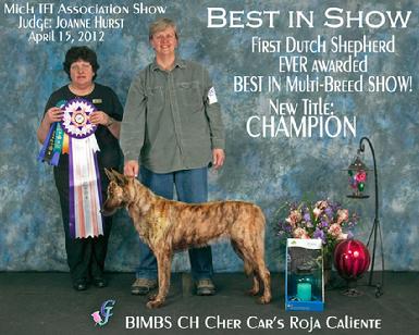 Dutch Shepherd Best in Show 2012